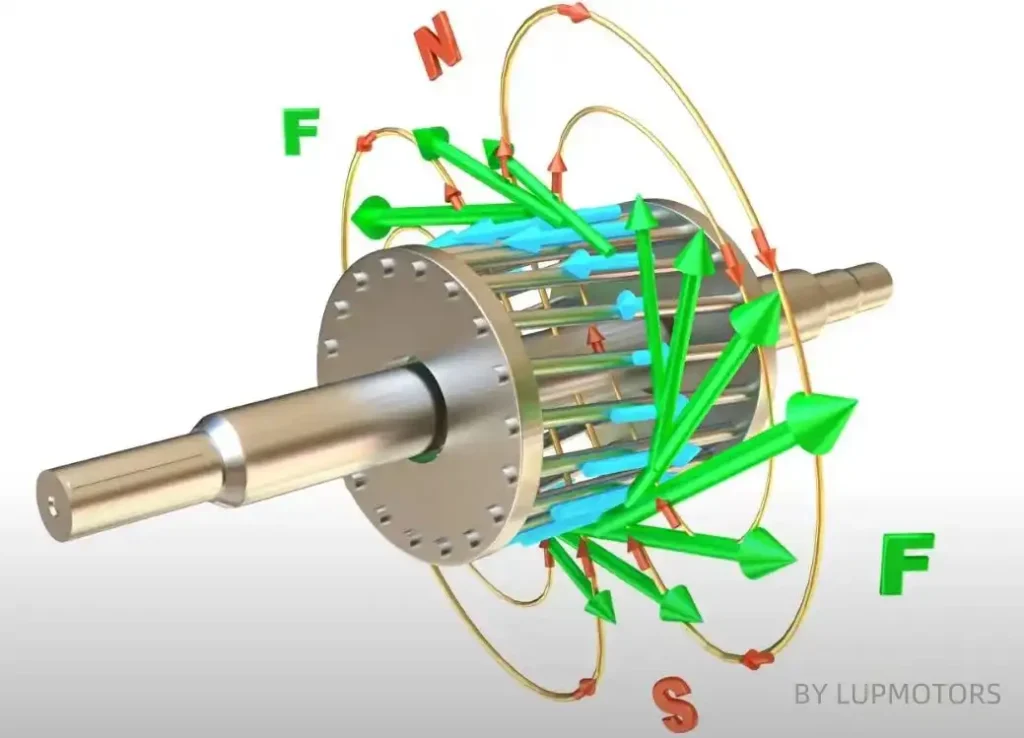 squirrel cage motor