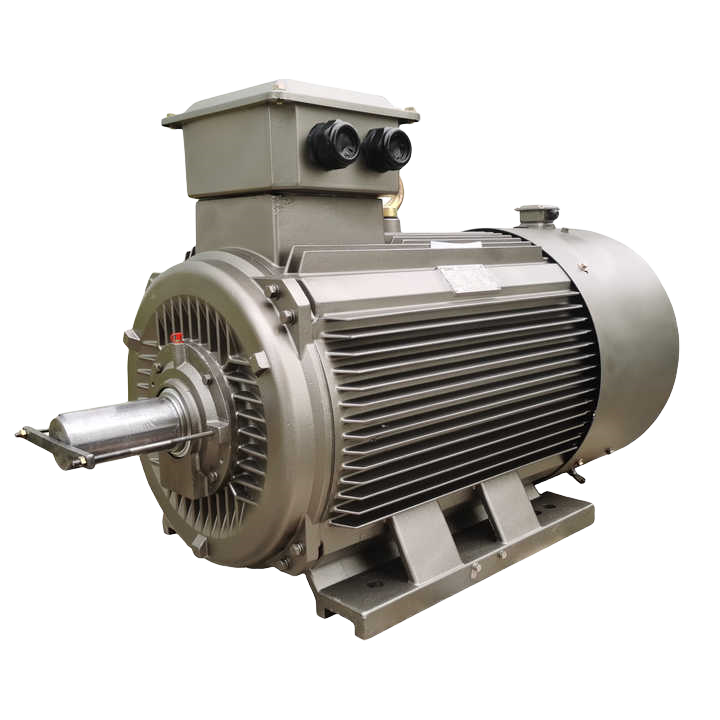 IEC AC electric motor