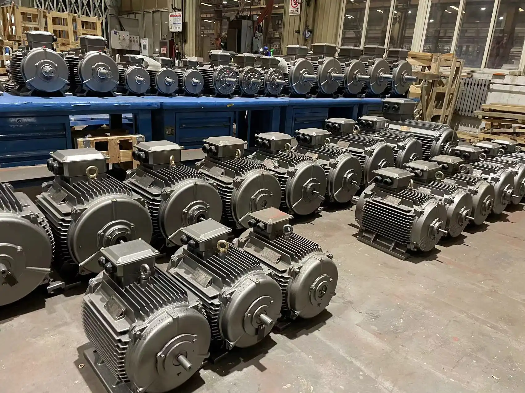 IEC4 Electric motors