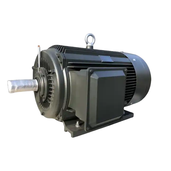 Low voltage AC electric motors