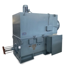 TEAAC IC666 High Voltage Variable Frequency AC Induction Motor