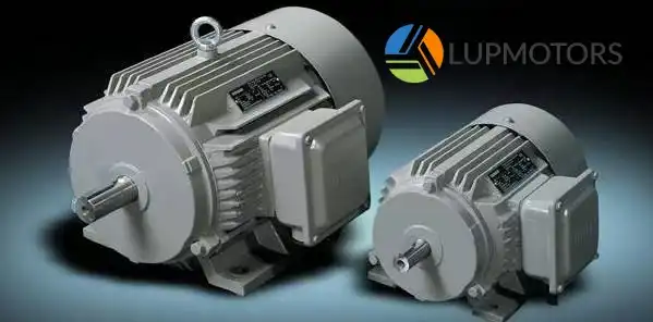 induction motors lupmotors