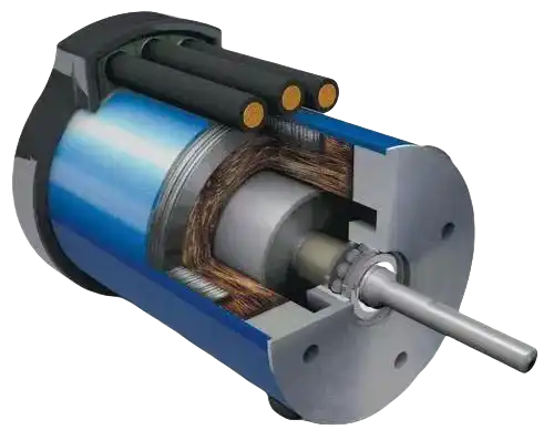 brushless motor